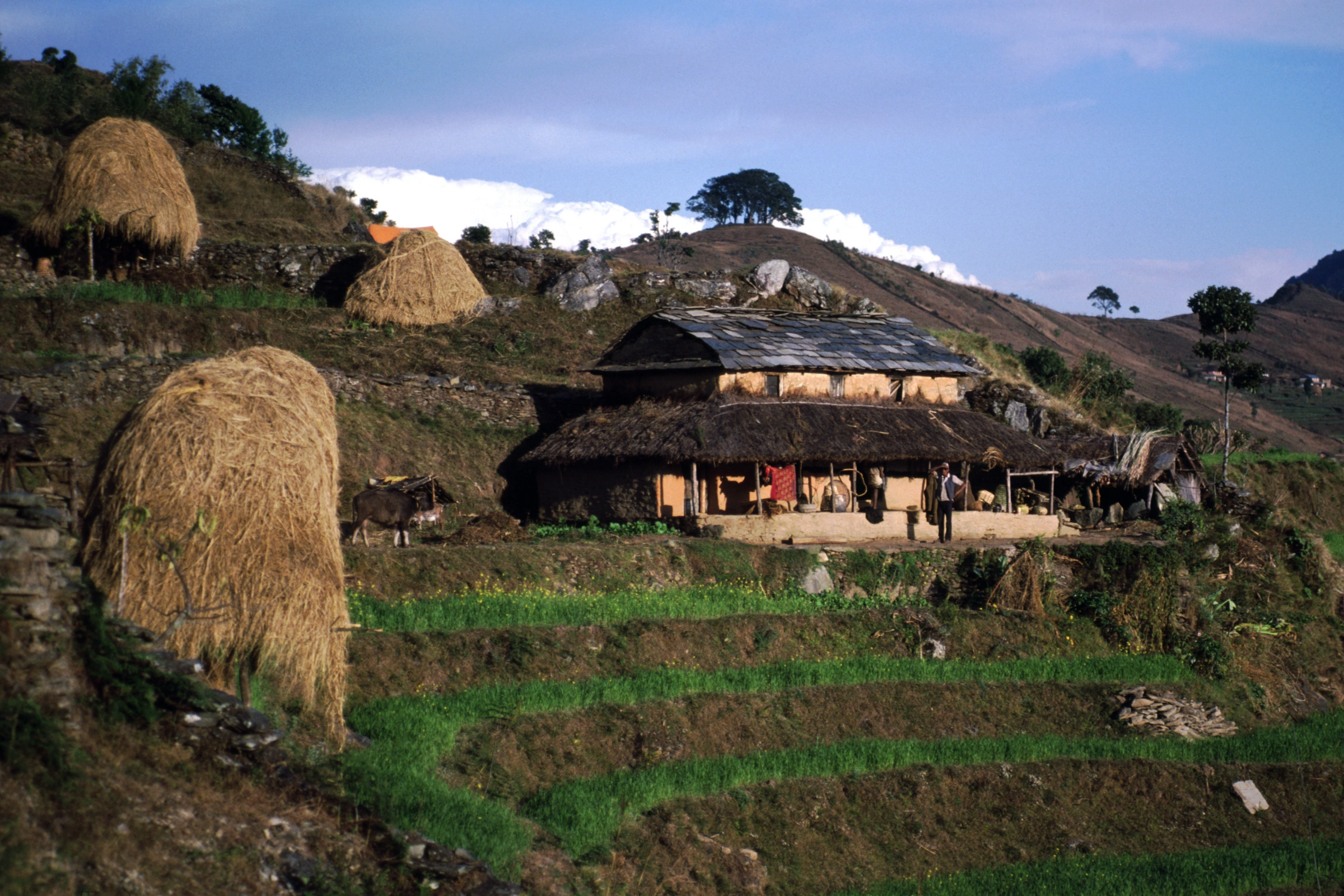 Sarangkot_(Nepal)[1].webp